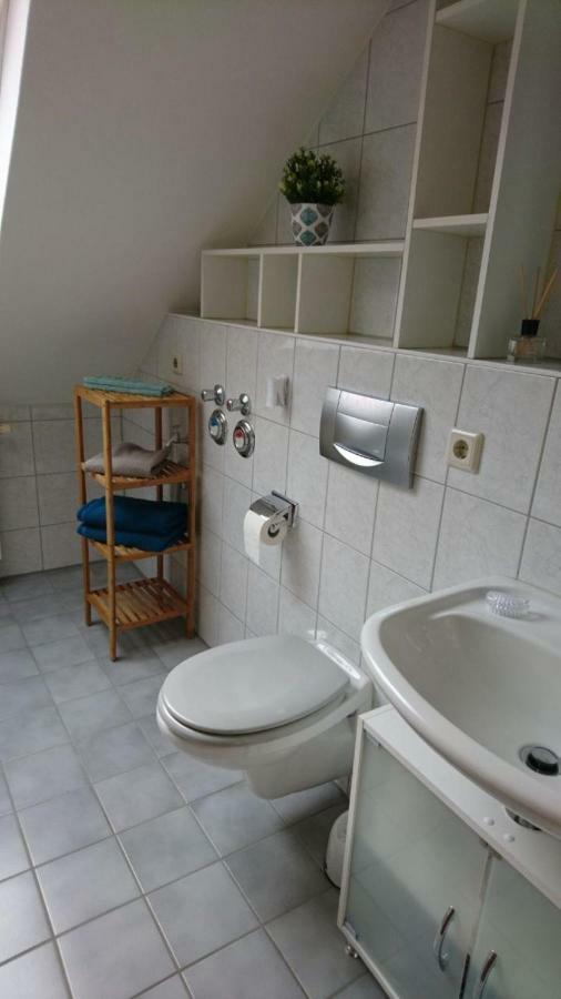 Ferienwohnung Mit Domblick 萨勒河畔瑙姆堡 外观 照片